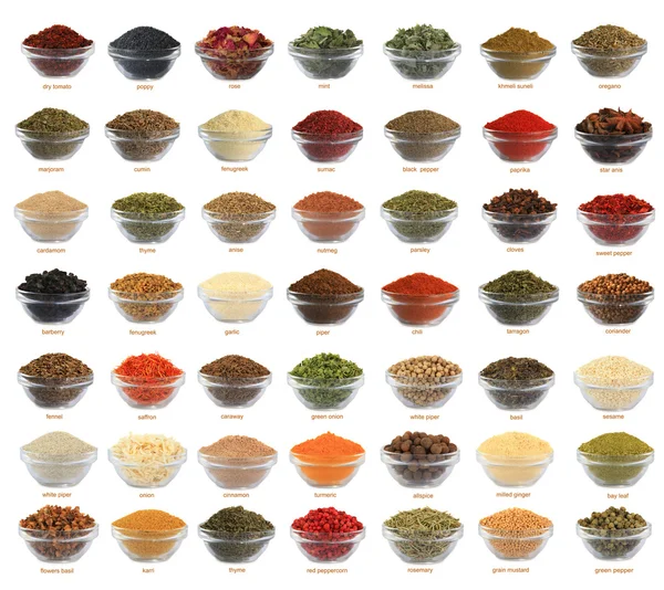 Spices of a collage are — Stock Photo, Image