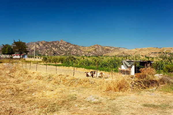 Paisagem rural em Calabria — Fotografia de Stock