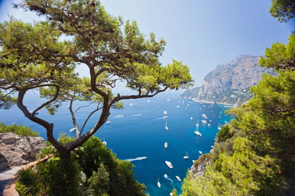 Krásný výhled na přístav Capri — Stock fotografie