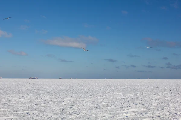 Icy sea - a rare phenomenon. — Stock Photo, Image