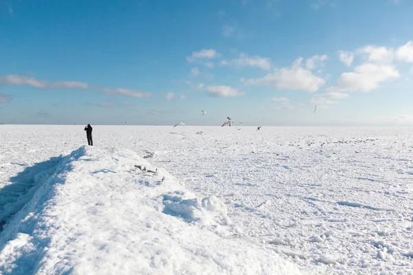 Icy silence of the Black Sea. — Stock Photo, Image