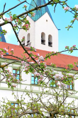 Bahar görünür belirtileri.