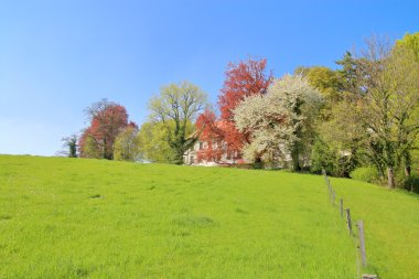 Spring meadow in front of the house. clipart