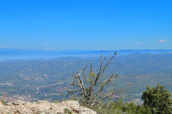 Picture Taken Spring Spain Picture Shows View Top Mountain Montserrat — Stock Photo, Image