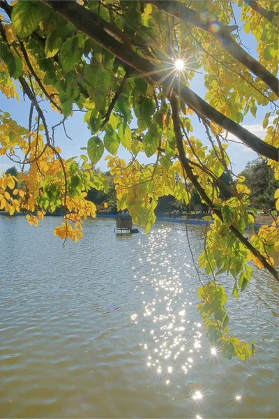 Foto Fue Tomada Ciudad Odessa Ucrania Imagen Muestra Lago Parque — Foto de Stock