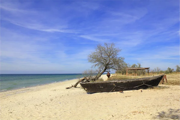 Das Bild Wurde Auf Der Kinburn Spit Der Nähe Der — Stockfoto