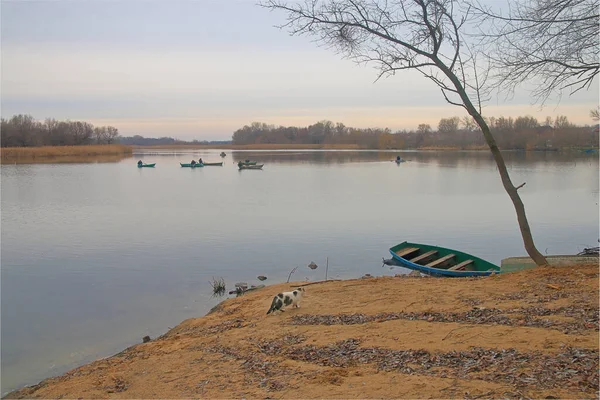 Foto Gato Encontra Pescadores Pesca Rio Chamado Bug Sul — Fotografia de Stock