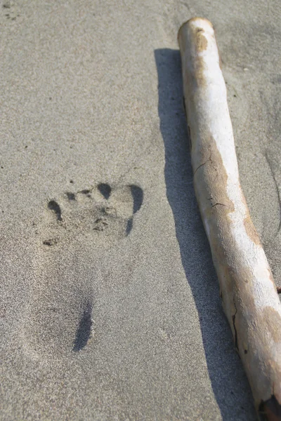 Tehlike beklentisiyle.