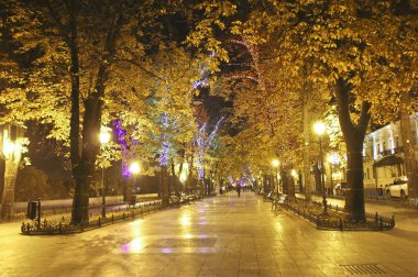 Odessa gece Primorsky Bulvarı.
