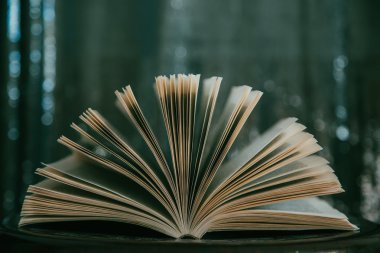 Bokeh etkisi ile açık kitap