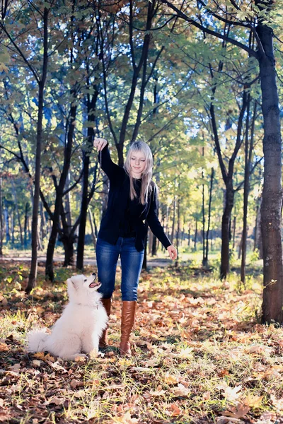 Femme avec chien — Photo