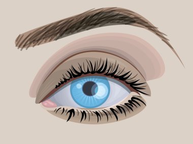 güzel mavi kadın göz