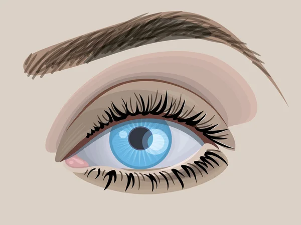 güzel mavi kadın göz