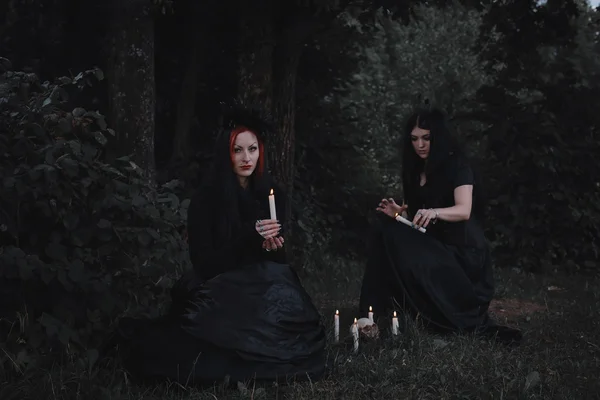 巫婆在一个黑暗的森林 — 图库照片