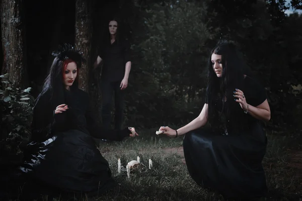Čarodějnice v temném lese — Stock fotografie