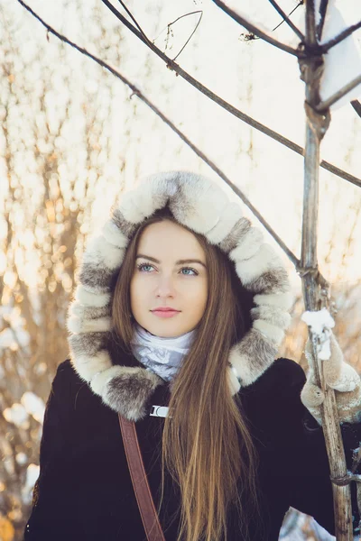 Mooi meisje in de winter — Stockfoto