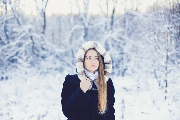 Hermosa chica en invierno — Foto de Stock