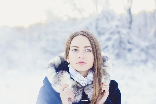 Beautiful girl in winter — Stock Photo, Image