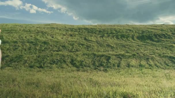 Flicka gå på gräset mot bakgrunden av en kulle från himlen — Stockvideo