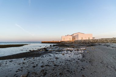 Mavi gökyüzünün altında, bataklıktaki iskelenin yanında bir tekne.