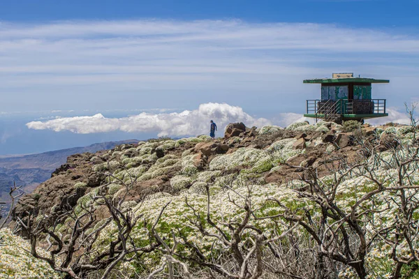 Eine Alte Aussicht Auf Der Spitze Der Insel Gran Canaria — Stockfoto