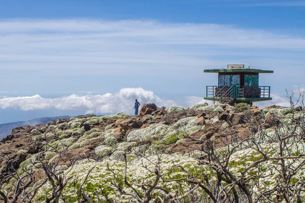 Starý Výhled Vrcholek Ostrova Gran Canaria — Stock fotografie