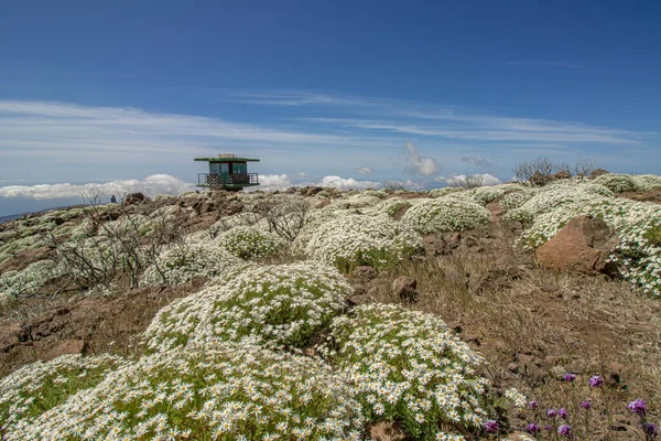 Gammal Utsikt Toppen Gran Canaria — Stockfoto