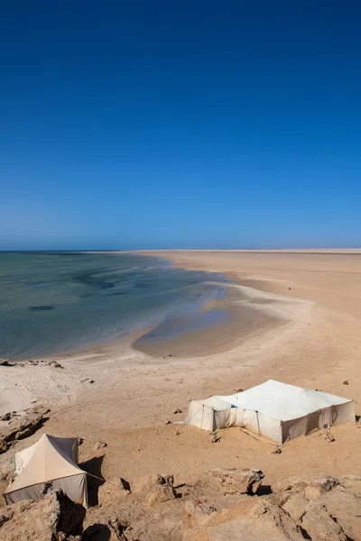 Traditional sahara tents on desert — Stock Photo, Image