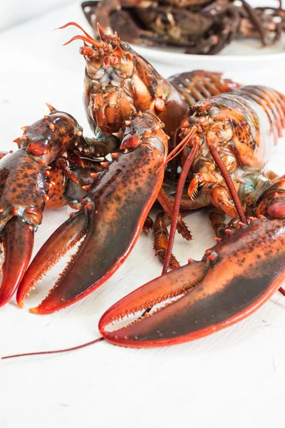 Crustacean — Stock Photo, Image