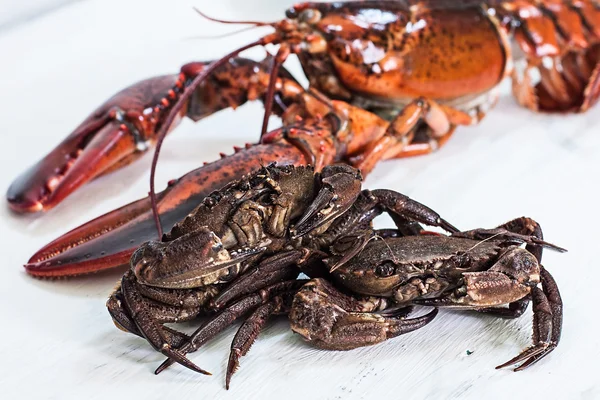 Crustacean — Stock Photo, Image