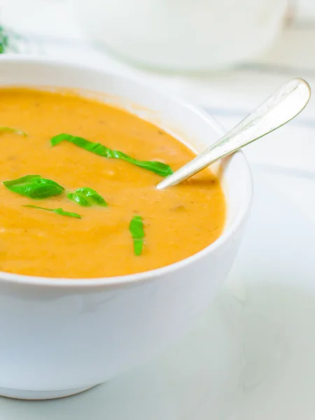 Sopa de crema vegetariana — Foto de Stock