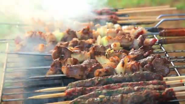 Viande grillée savoureuse. Vidéo Full HD — Video