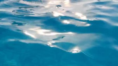 Küçük bahar yağmur. Dolu Hd Video