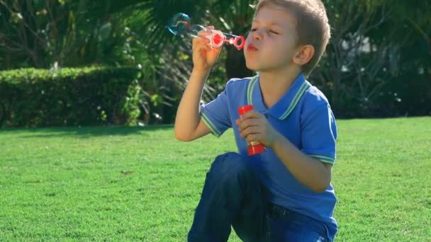 Niño soplando burbujas de jabón. Vídeo Full HD — Vídeo de stock