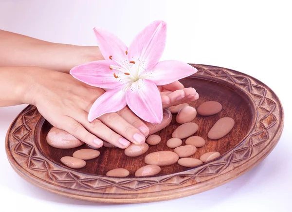 Hände-Wellness-Konzept — Stockfoto