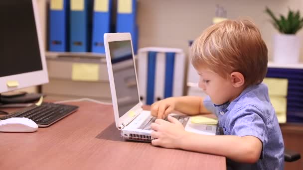 Μικρό αγόρι που εργάζονται για το φορητό υπολογιστή. Πλήρες βίντεο Hd — Αρχείο Βίντεο