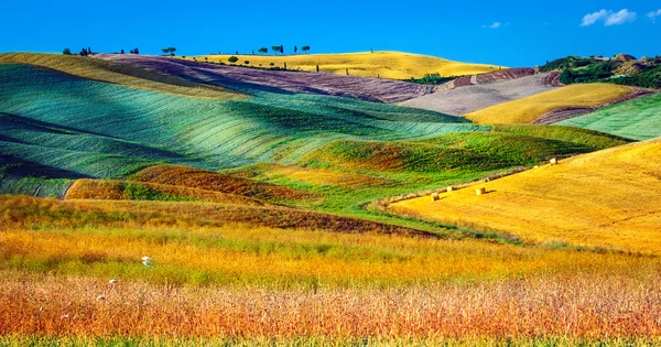Krásná zemědělská krajina — Stock fotografie