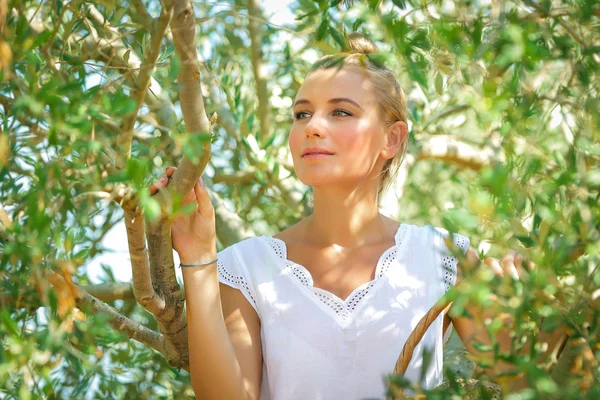 Schönes Mädchen im Olivengarten — Stockfoto