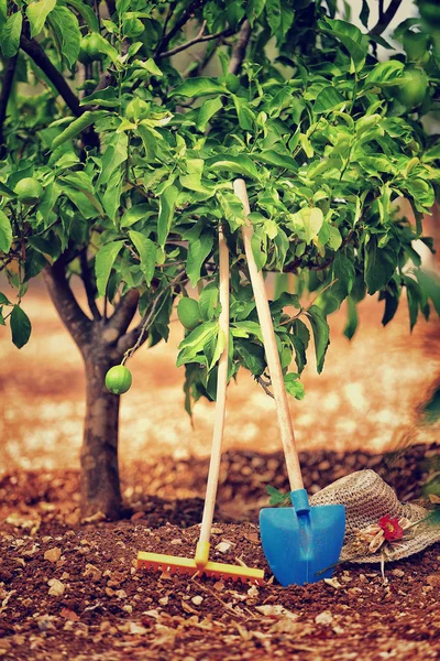 Limonlu bahçe bahçecilik aletleri — Stok fotoğraf