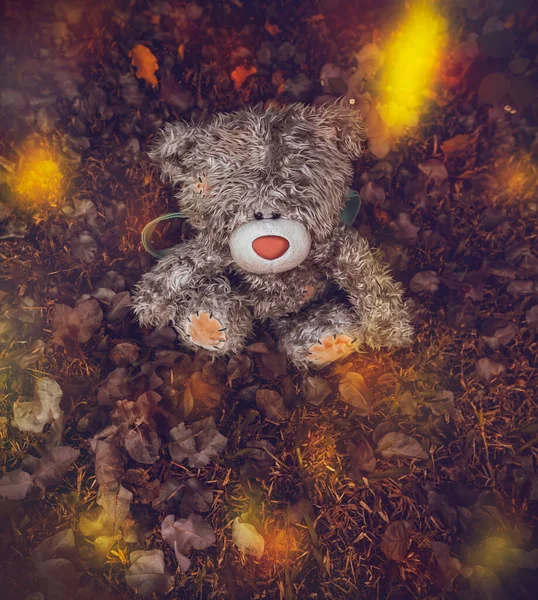 Conceptuele Foto Van Een Uitgaande Jeugd Weggegooid Verloren Teddybeer Liggend — Stockfoto