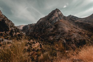 Güzel Huzurlu Manzara. Muhteşem Sonbahar Manzarası. Tannourine Dağları. Lübnan 'a seyahat.