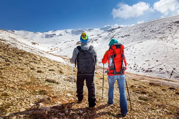 Back Side Young Family Caminhadas Nas Montanhas Com Pólos Trekking — Fotografia de Stock