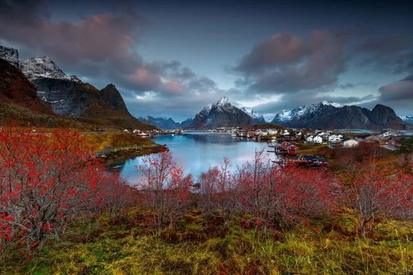 Increíble Vista Nordland Lands Hermoso Remanso Entre Las Altas Montañas — Foto de Stock