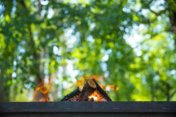 Closeup Photo Campfire Fresh Green Foliage Background Forest Aktivní Volný — Stock fotografie