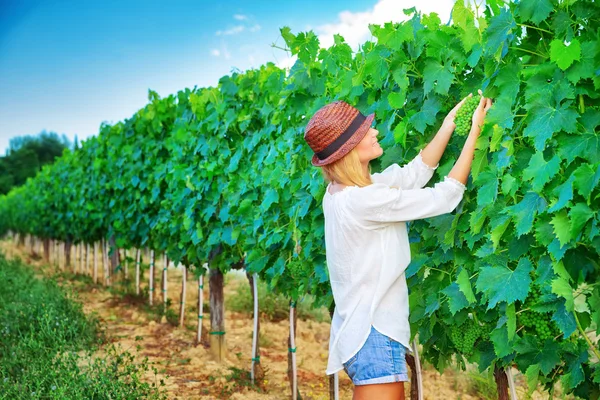 Menina agricultor na vinha — Fotografia de Stock