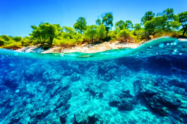 Beautiful underwater nature — Stock Photo, Image