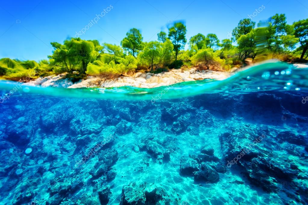 Beautiful underwater nature — Stock Photo © Anna_Om 53656663