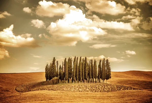 Mooie herfst landschap van de vinatge — Stockfoto