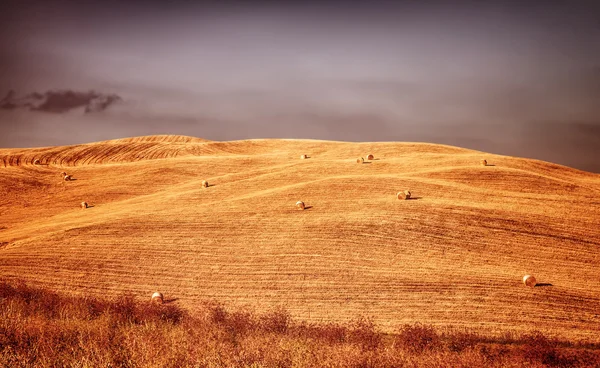 Krásná podzimní krajina — Stock fotografie