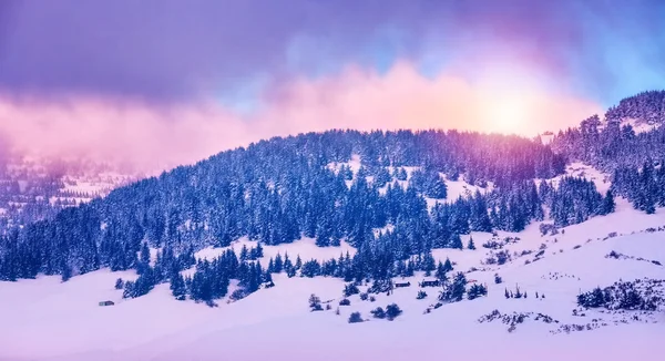 Vintern berg landskap — Stockfoto